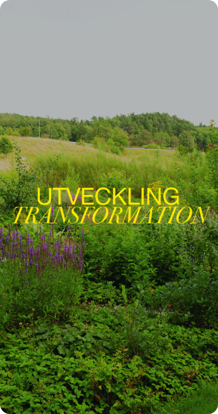Utveckling — Transformation